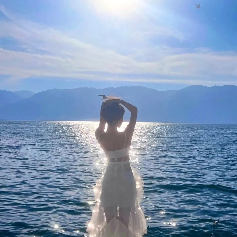 知己海报