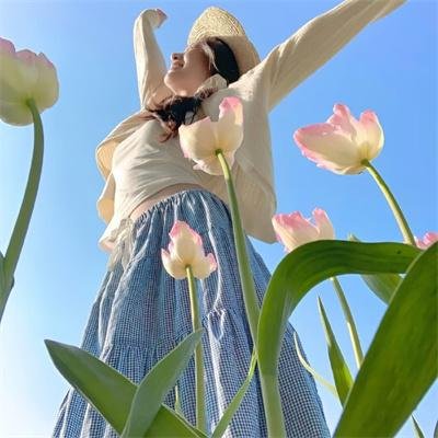 祖鲁战争海报